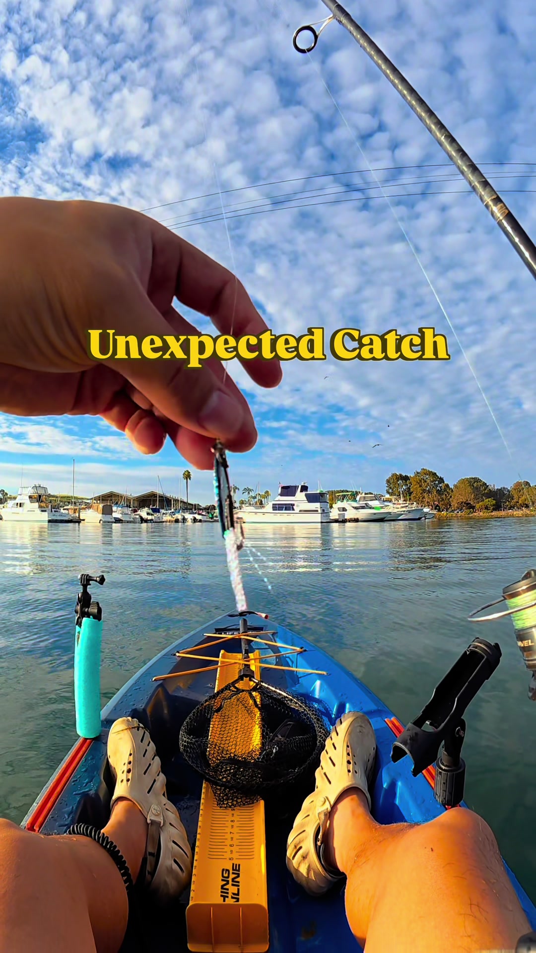 @BP FISHING