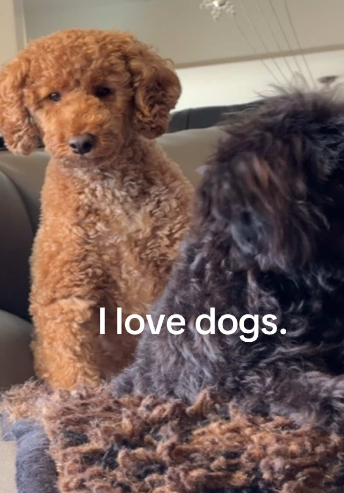 @packwalkdiaries