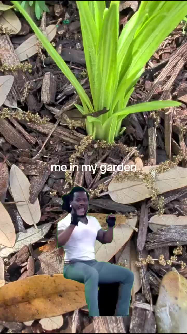 @Sarah Rene