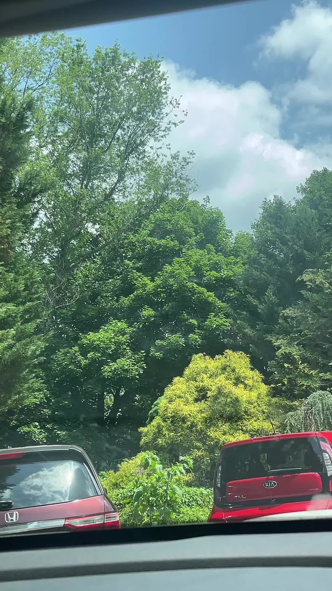 @🍹🌴