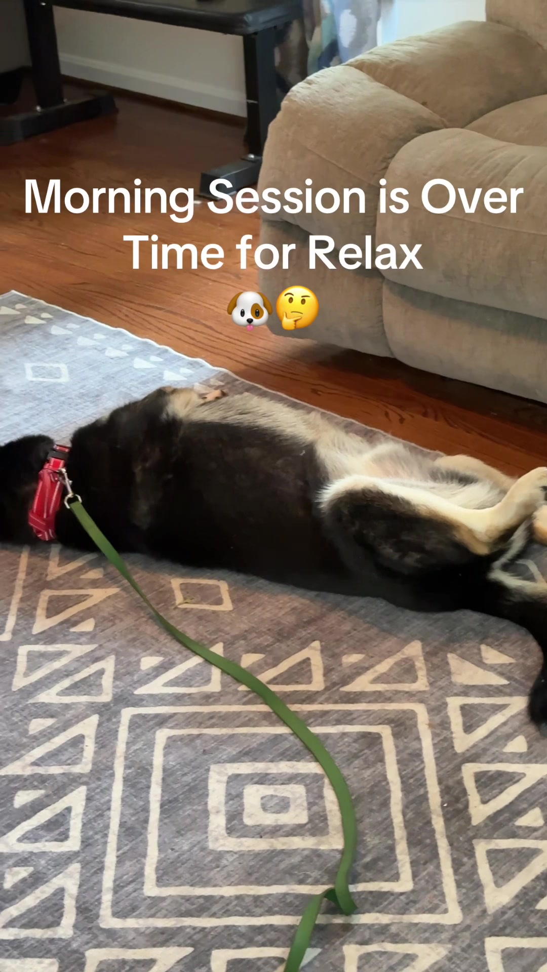@Best Buddy Dog Trainer LLC