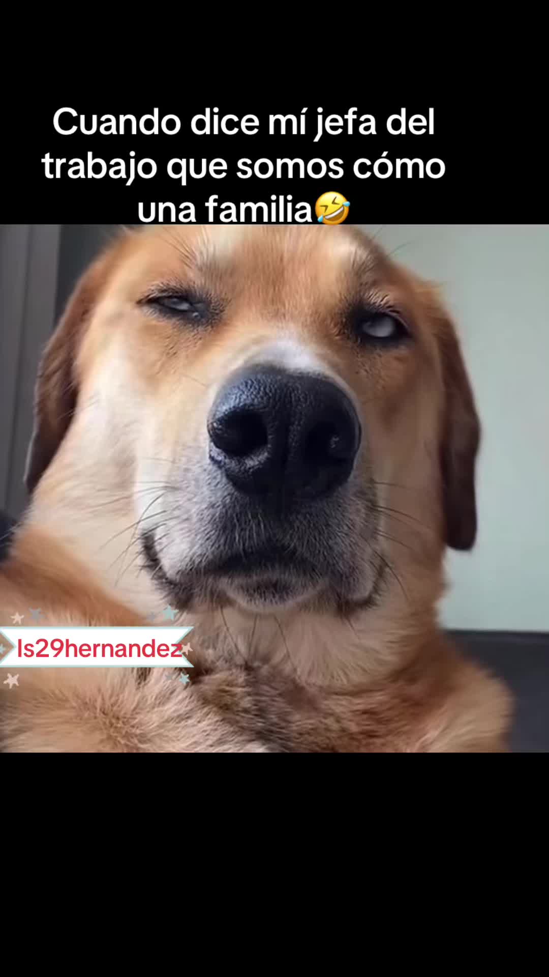 @Isa29Hernandez