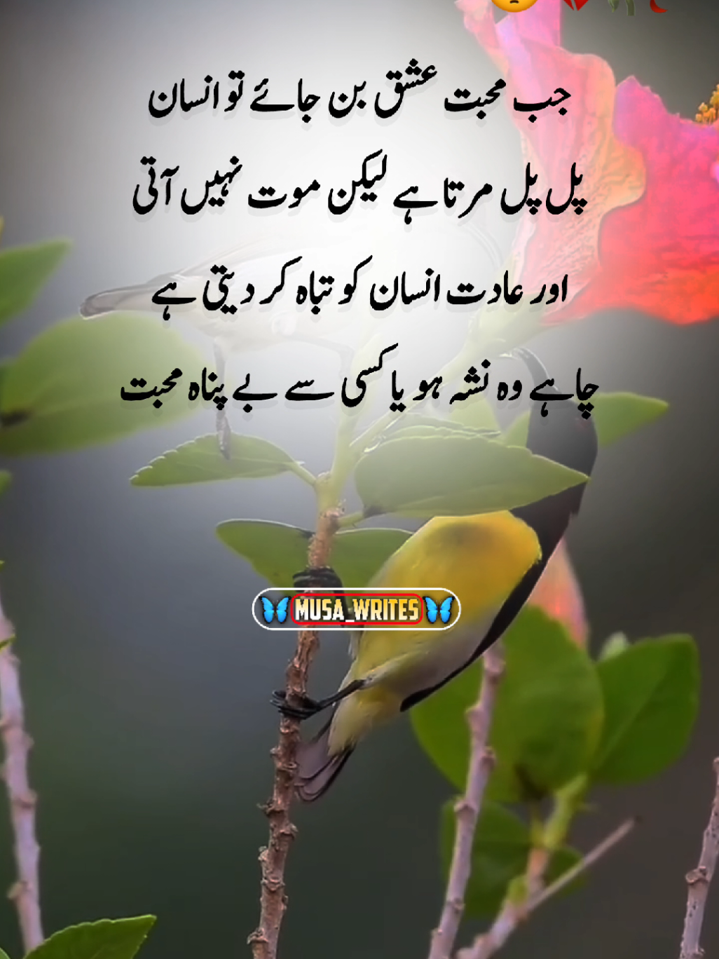 @𝙈𝙪𝙨𝙖_𝙬𝙧𝙞𝙩𝙚𝙨_𝟬𝟭❤🩹
