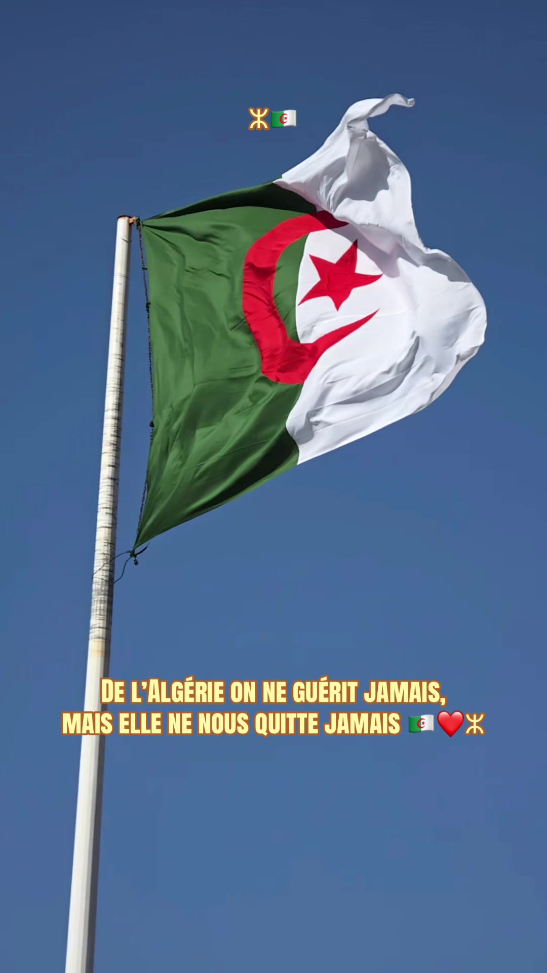 @𝙎𝙤𝙛𝙞𝙖𝙣𝙚 ⵣ🇫🇷