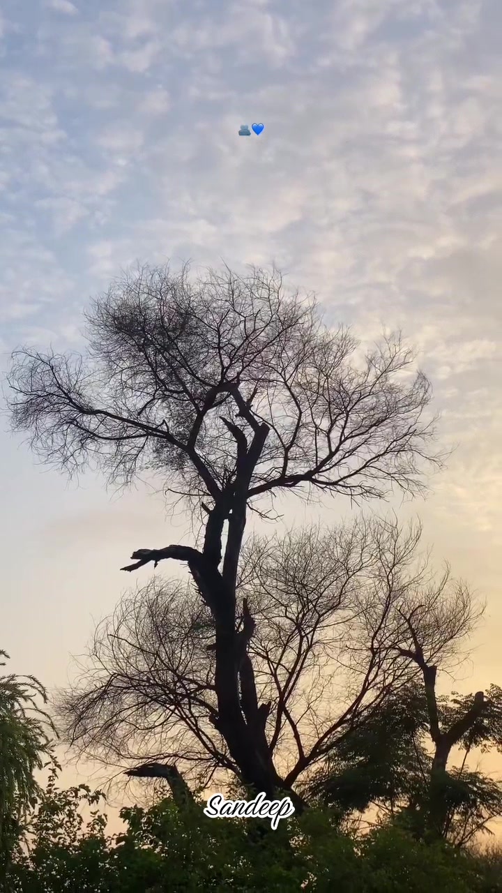 @Sdeep_2022