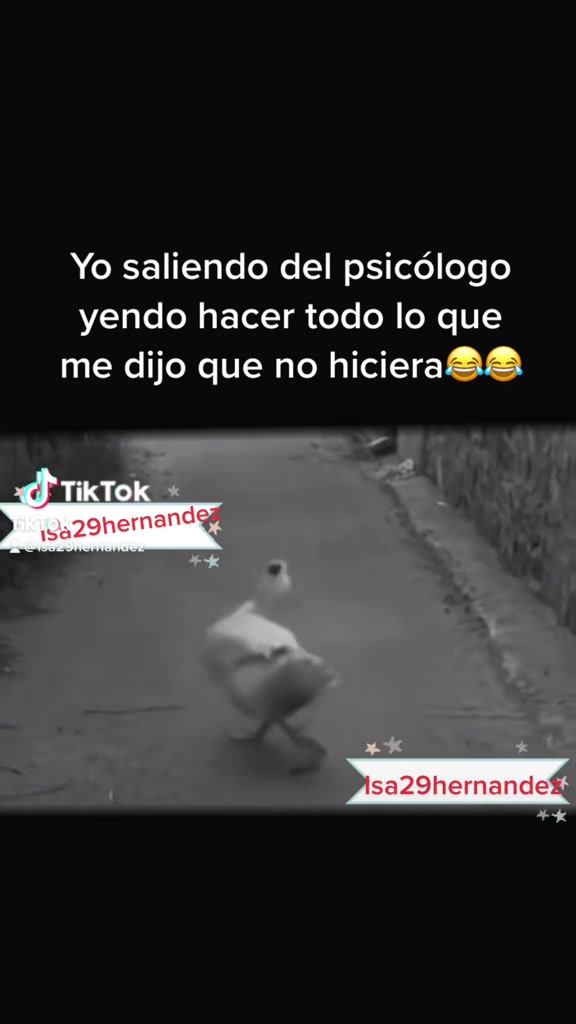 @Isa29Hernandez
