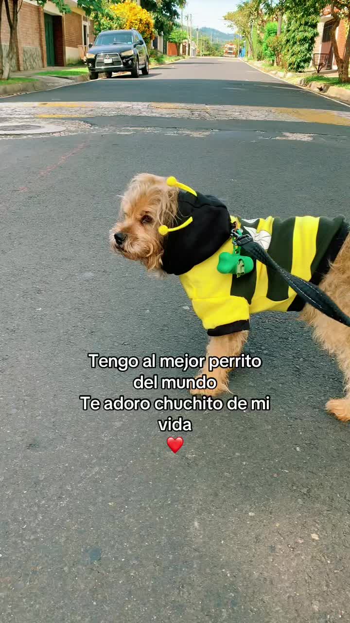 @🍎🪸