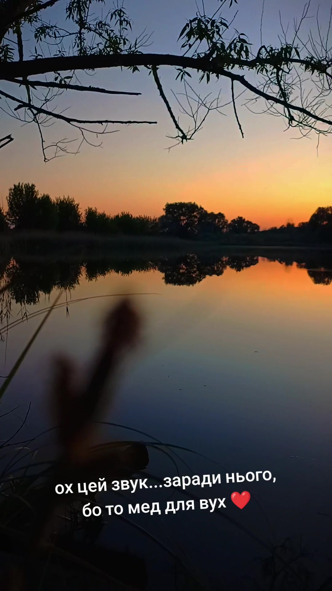 @ксюшик💙💛