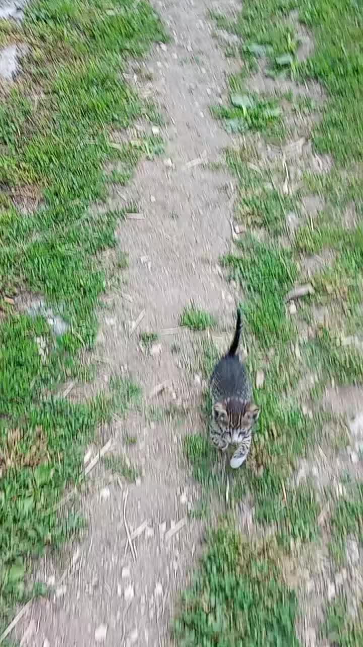 @sve se dešava sa razlogom