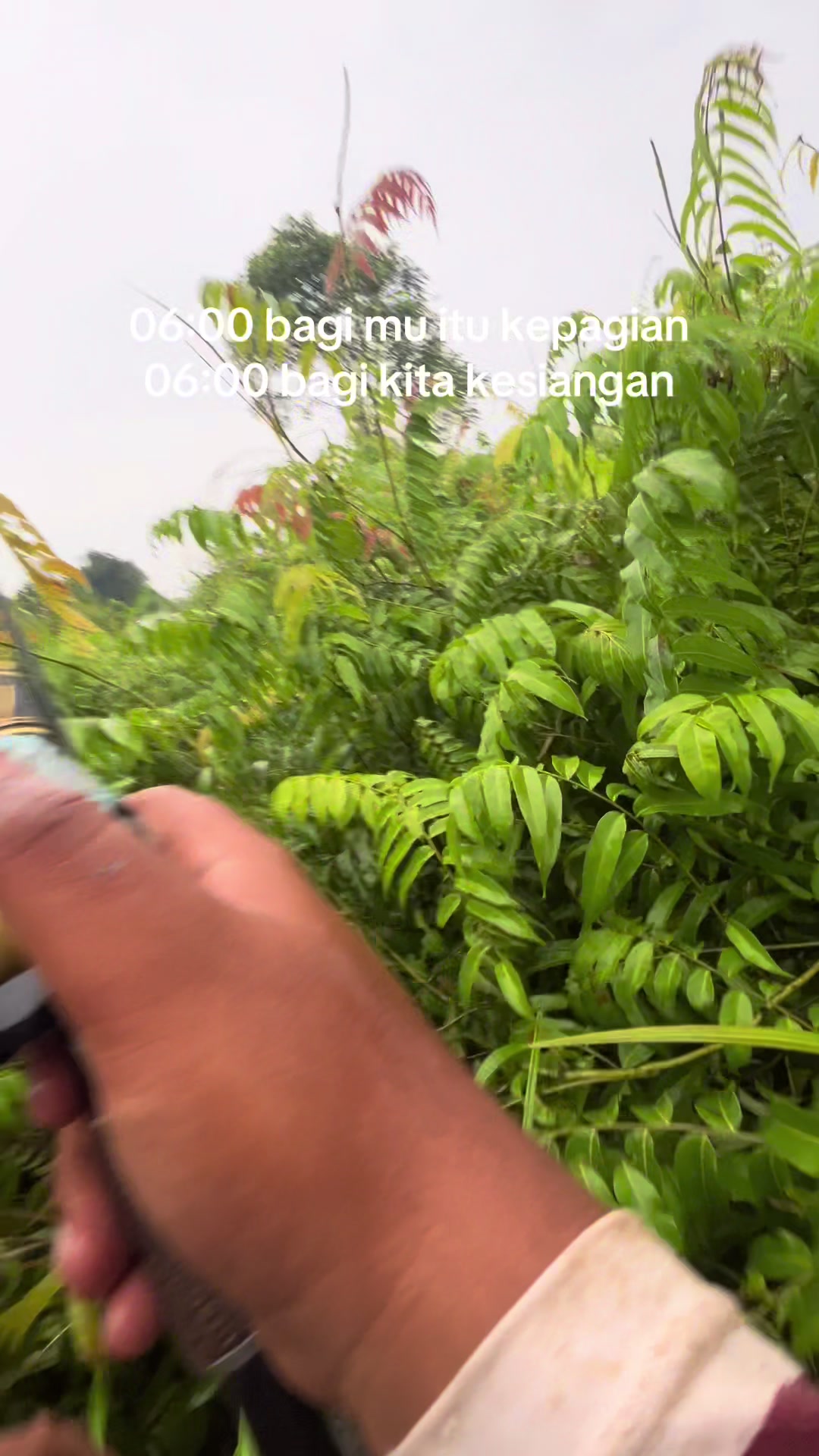 @Ragiljaya26