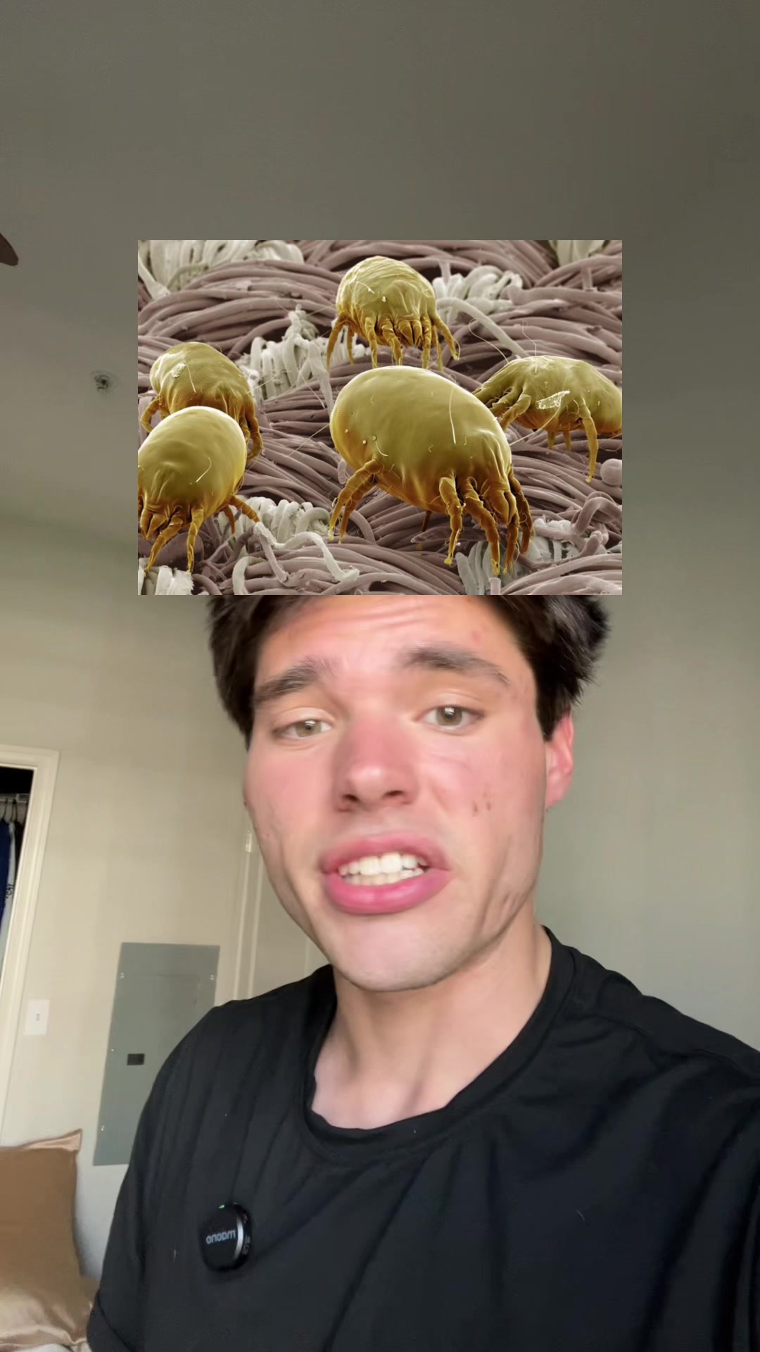 @gabrielwhittakerr