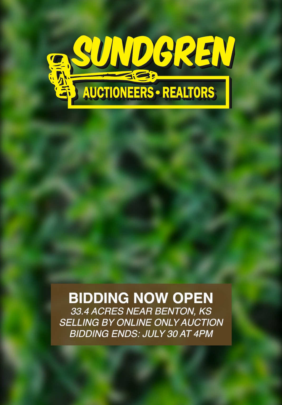 @Sundgren Realty & Auction