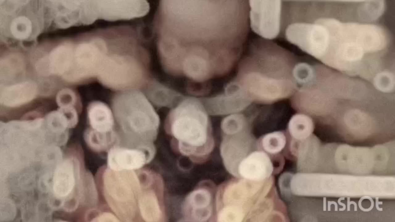 @&szlig;&iacute;g&szlig;