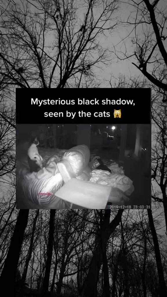 @SCARYVIDEOS