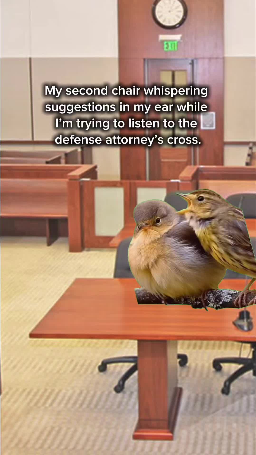 @She’s a ProseCutie