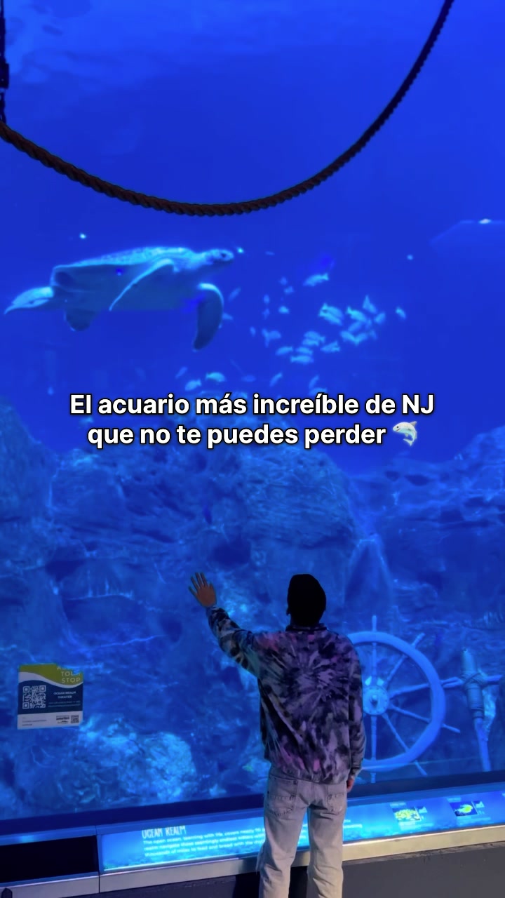 @Camilo Núñez