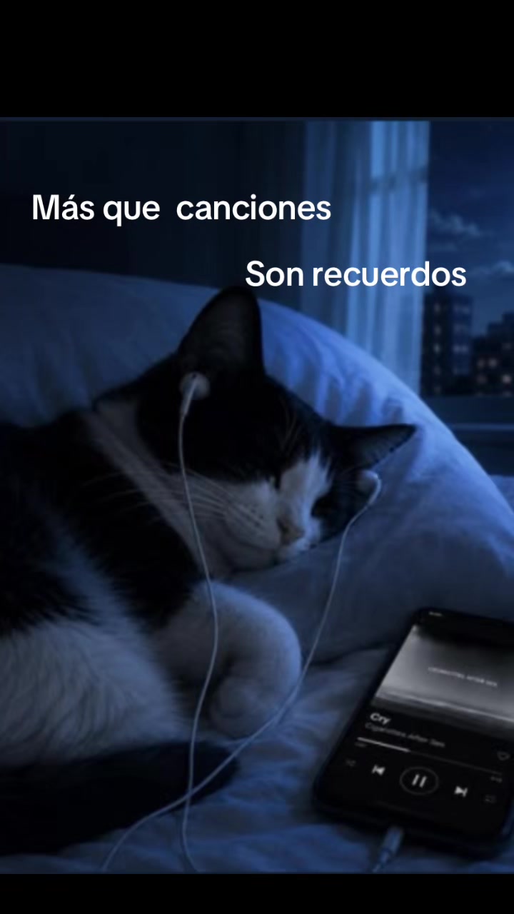 @M&uacute;sica sin Filtros 🎶🎵🎧