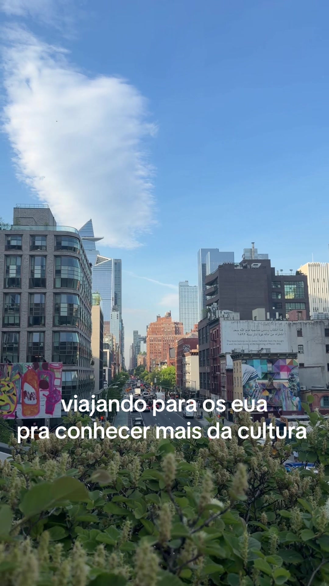 @flavia torres