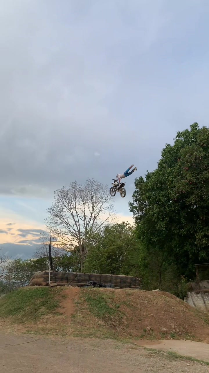 @gatofmx