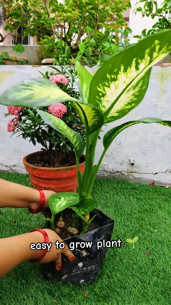 @poonam_shah 🧿🍀