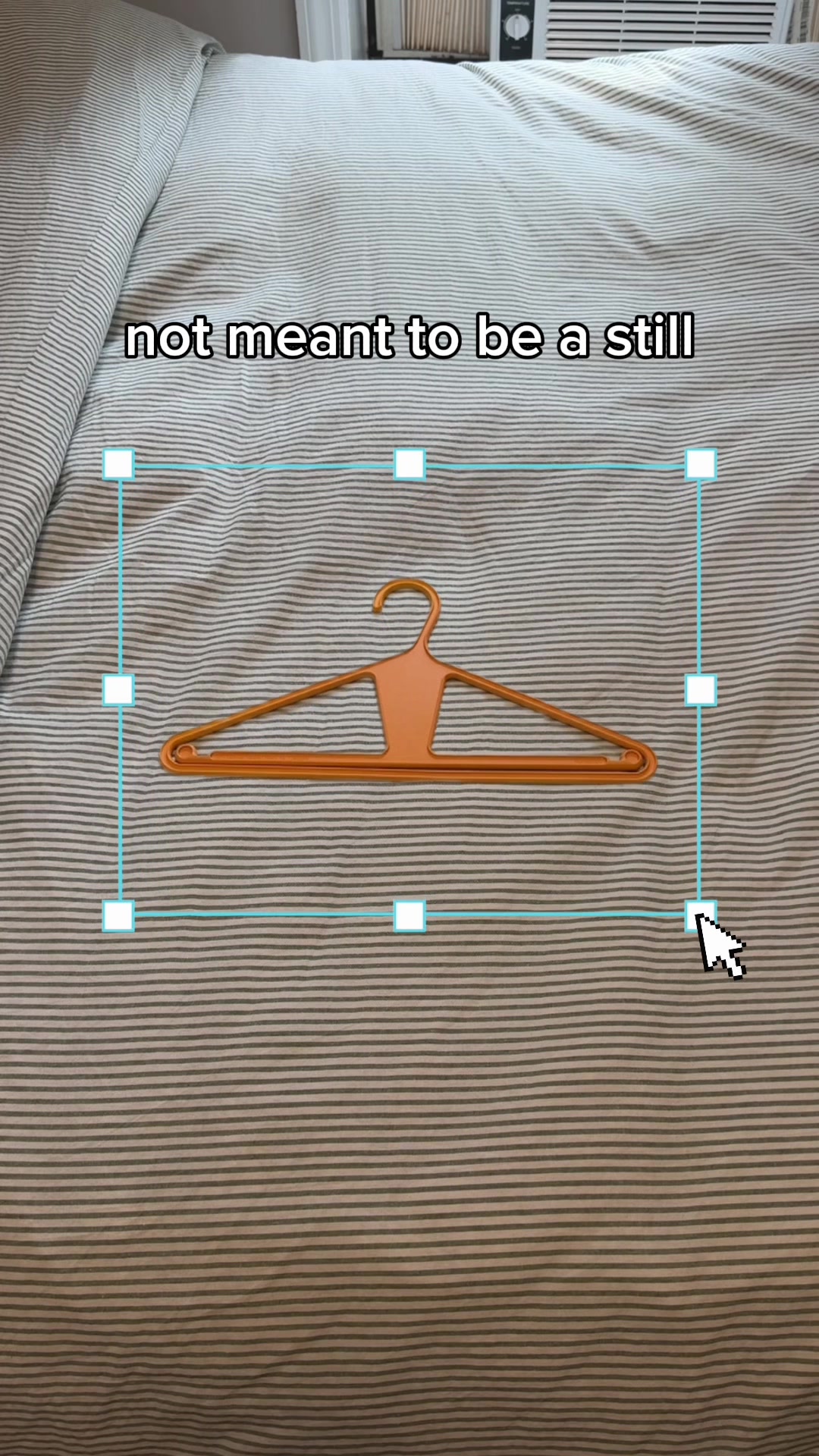 @KangarooHanger