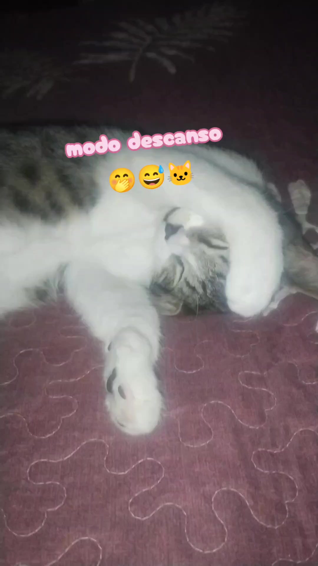 @💜💞💃gygy💃💞💜