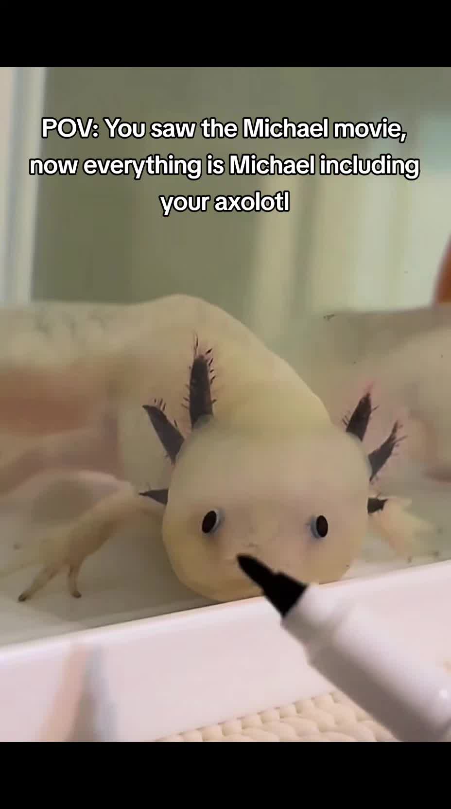 @Wheems