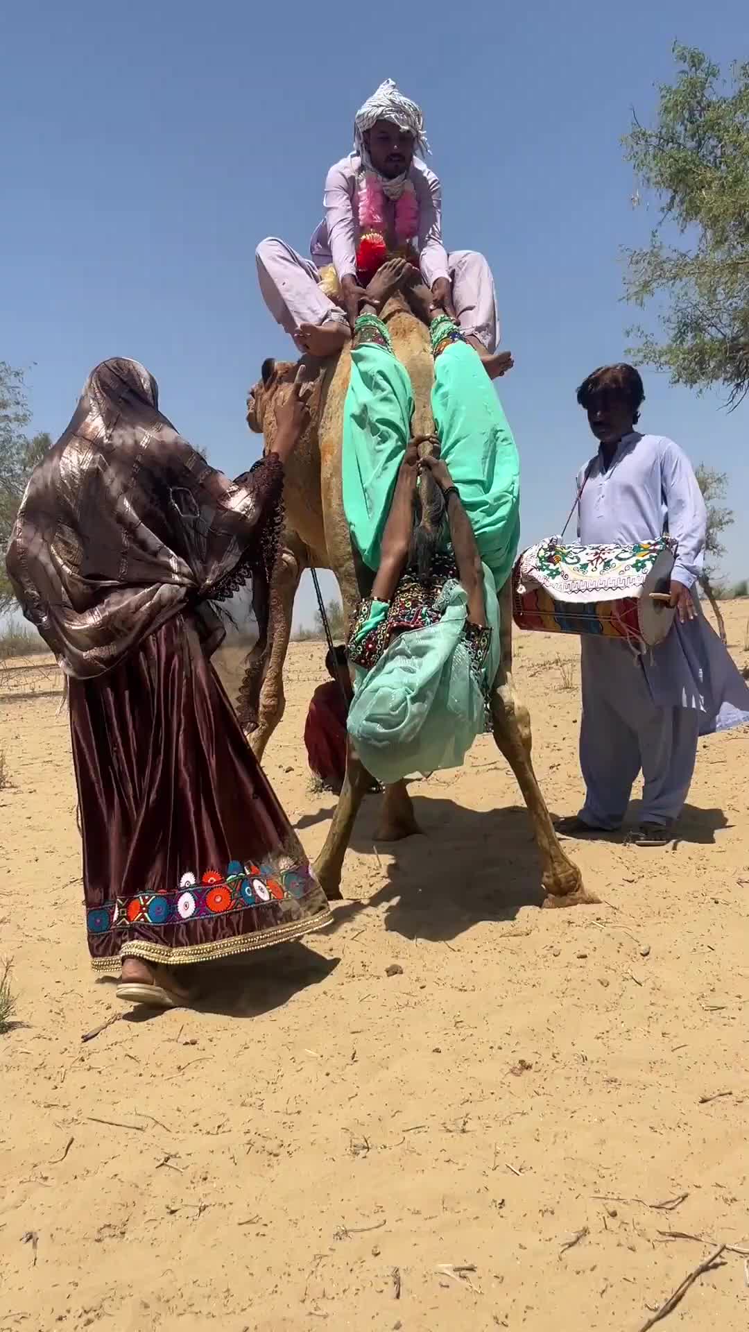 @Sakina 🐪