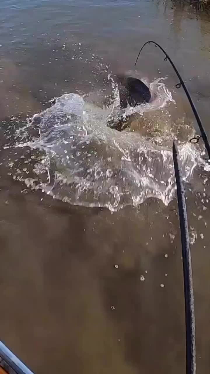 @Kayak Fishing