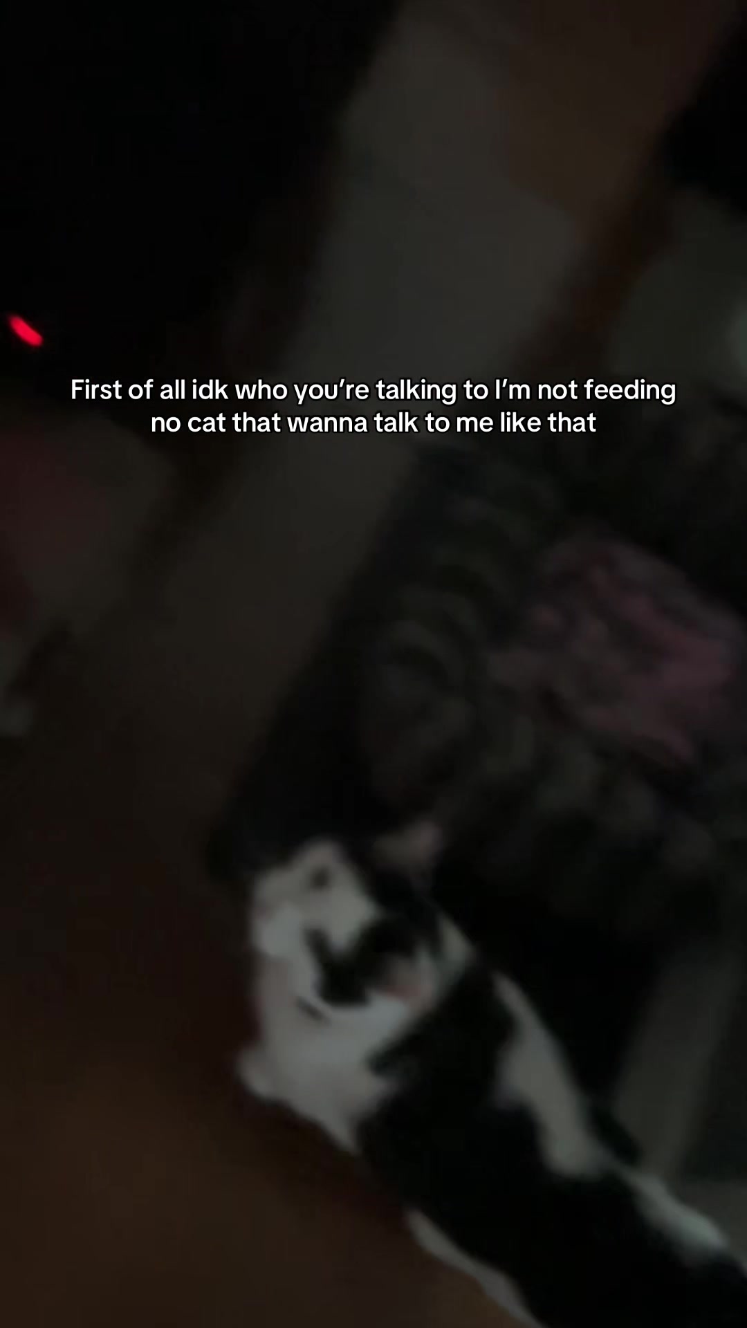 @5stxrnene1