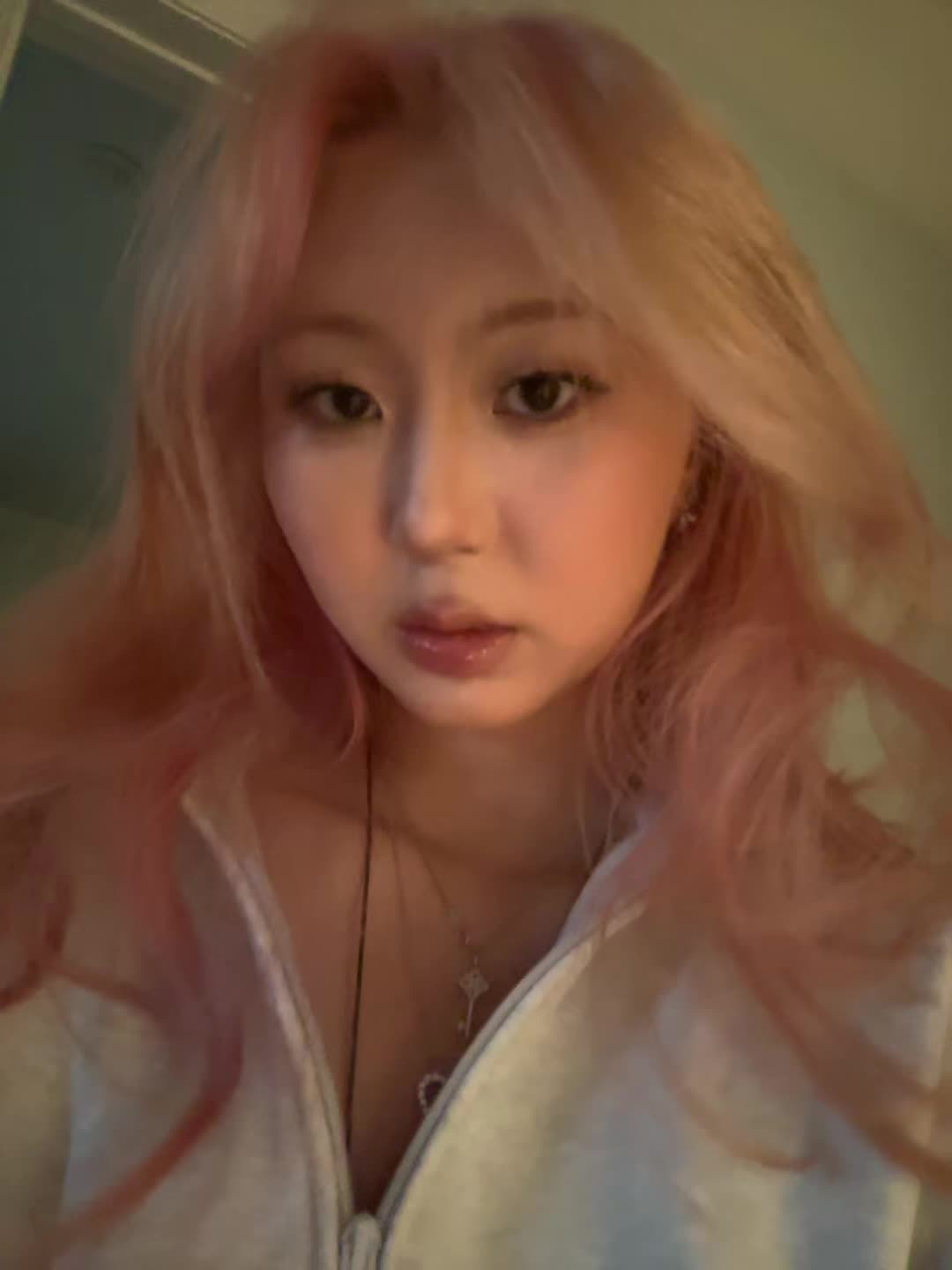 @grace祺祺 🐰