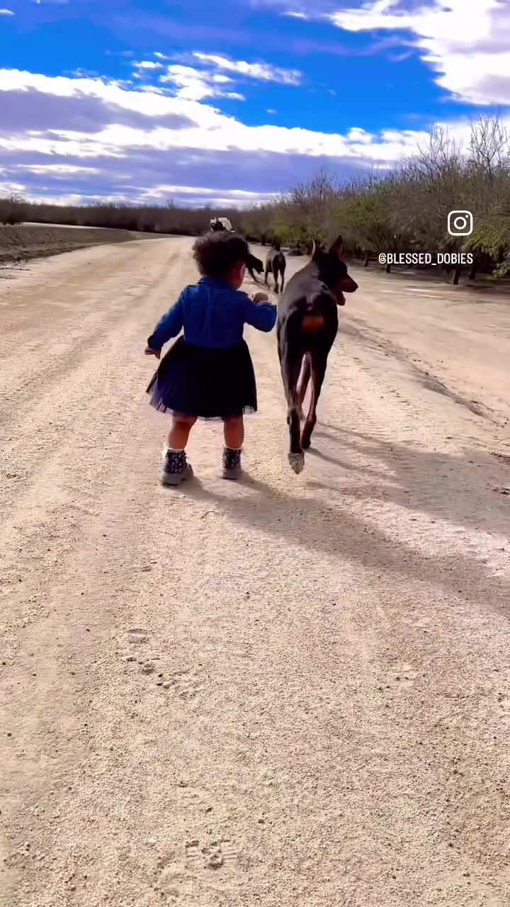 @blessed_dobies