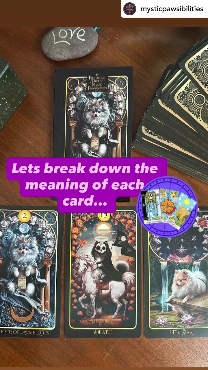 @Mystic Pawsibilities