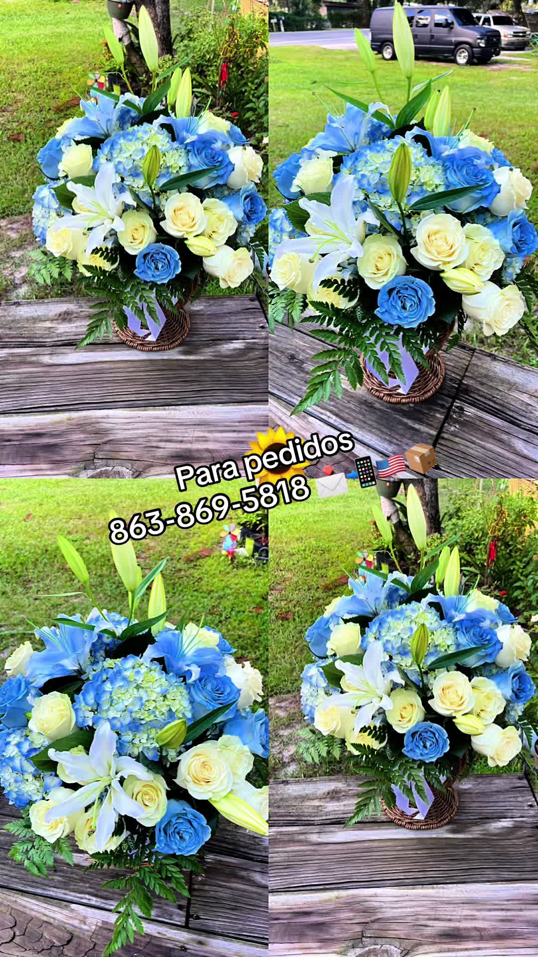 @ramos.eternos_norma 🫶🦋🦋