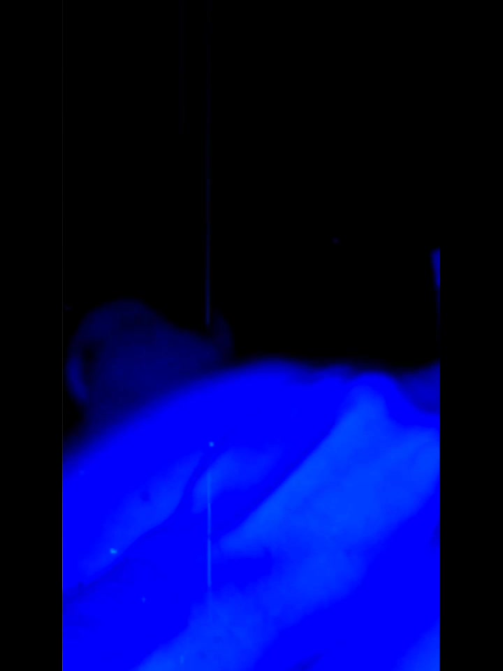 @fabigonzalez
