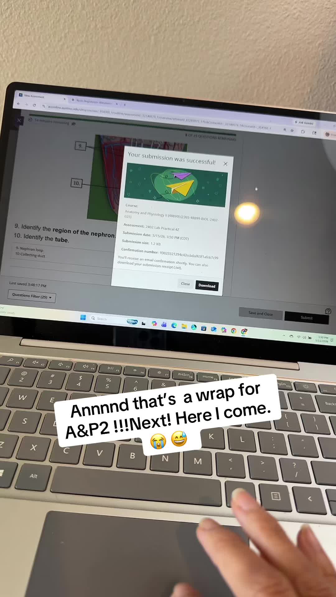 @Ari 🖤