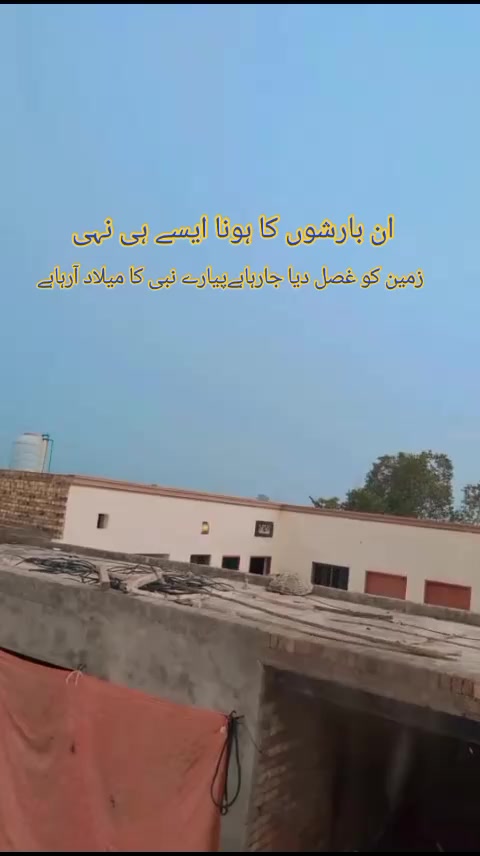 @murtazasandhu5994