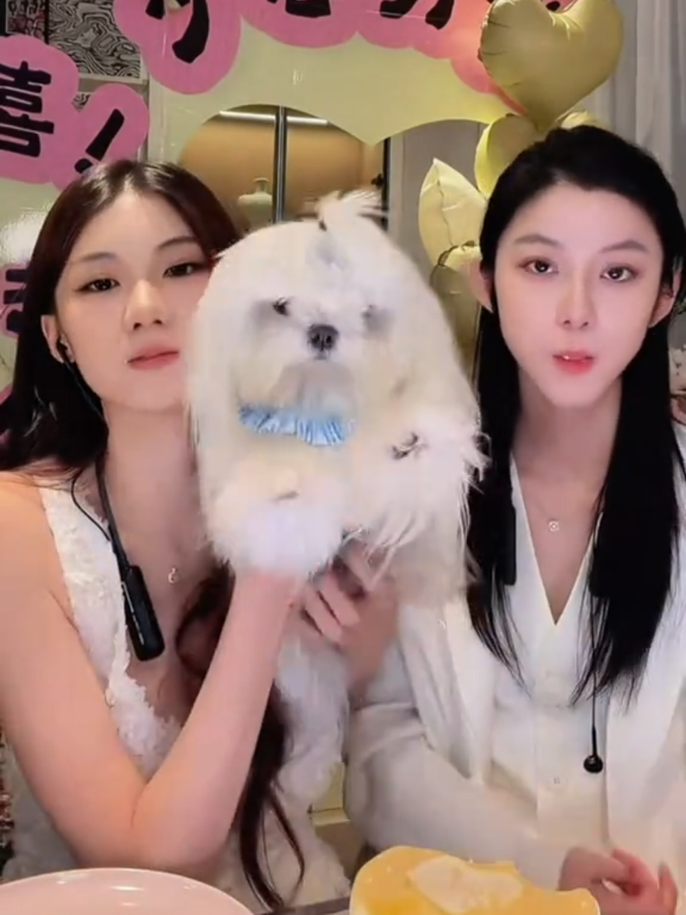 @Hushuo ShaoRe 胡说行家(小胡说)