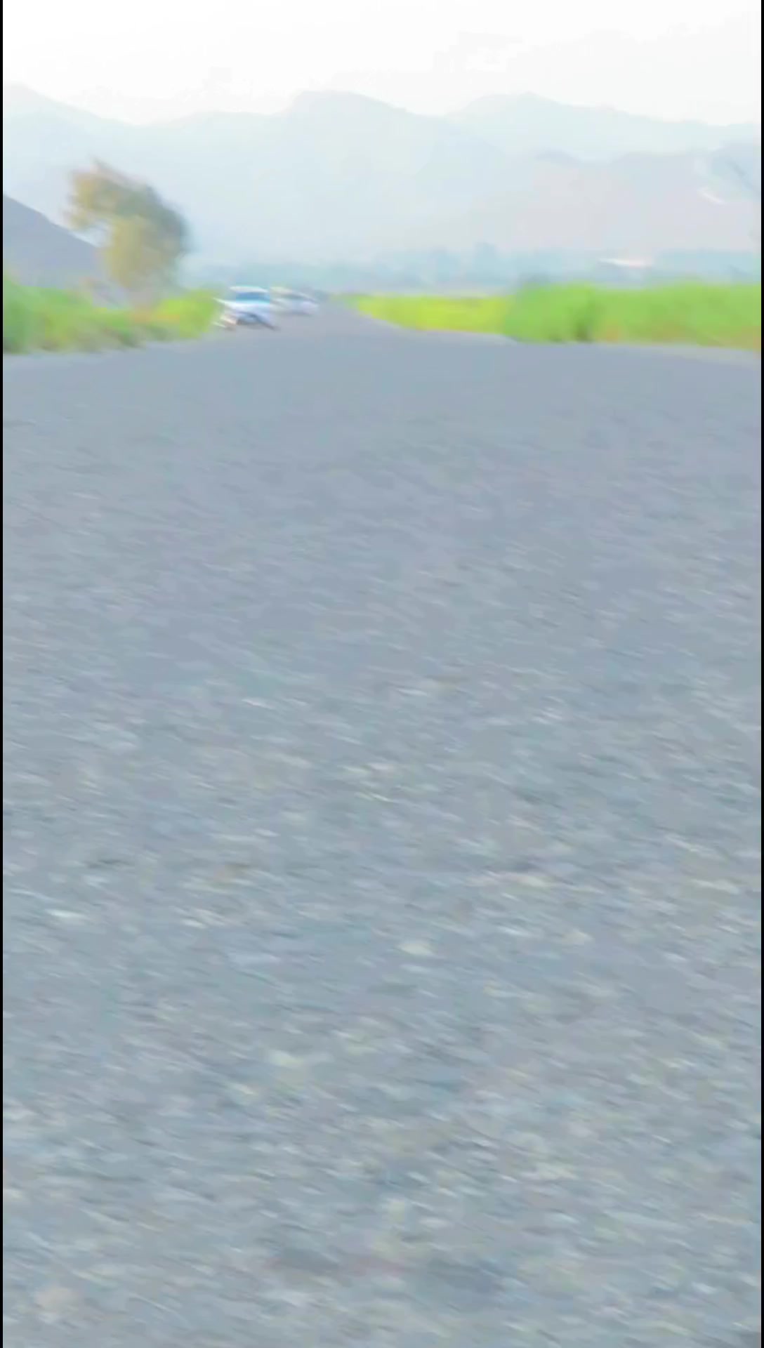 @༼ ❌↗ 𝙎𝘿𝙍.spinwal ↖ ༽❌