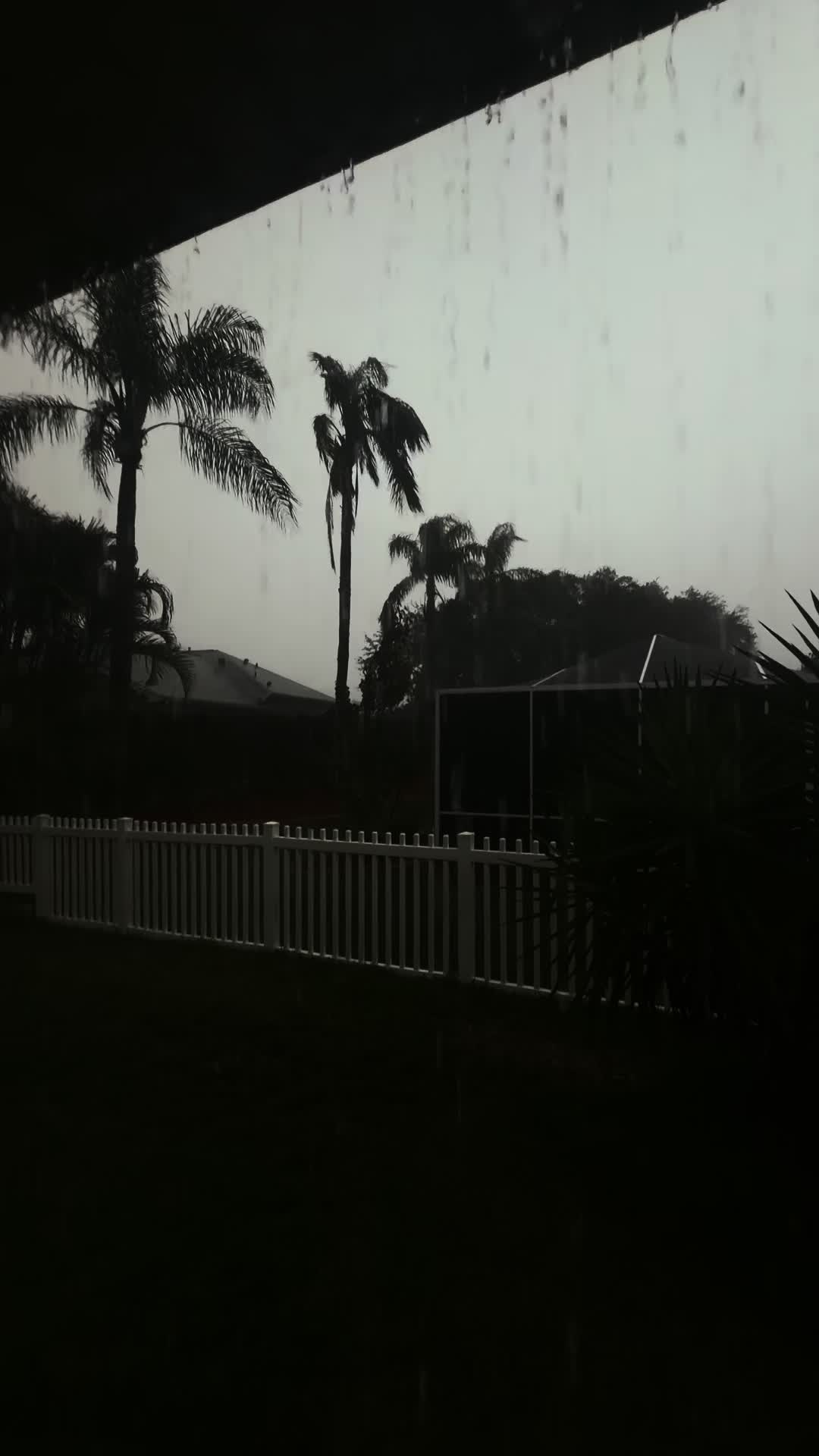 @view