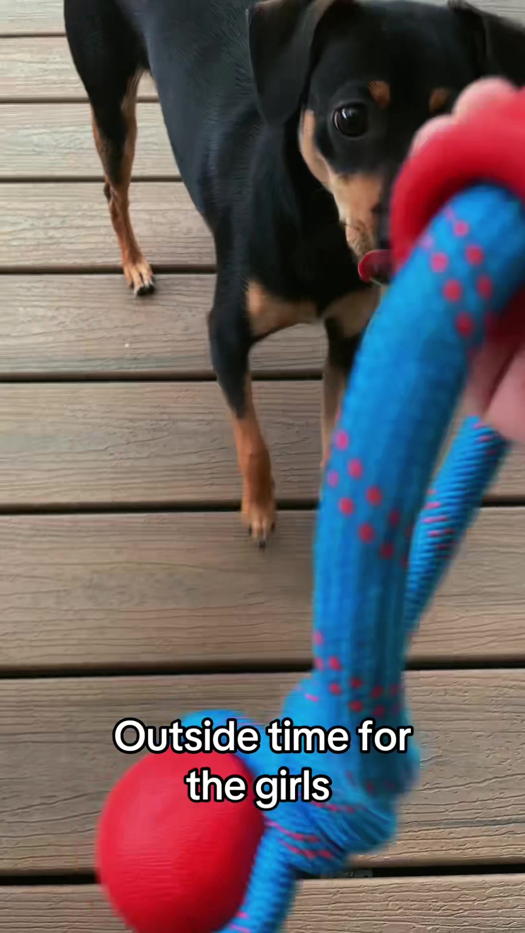 @Chomps