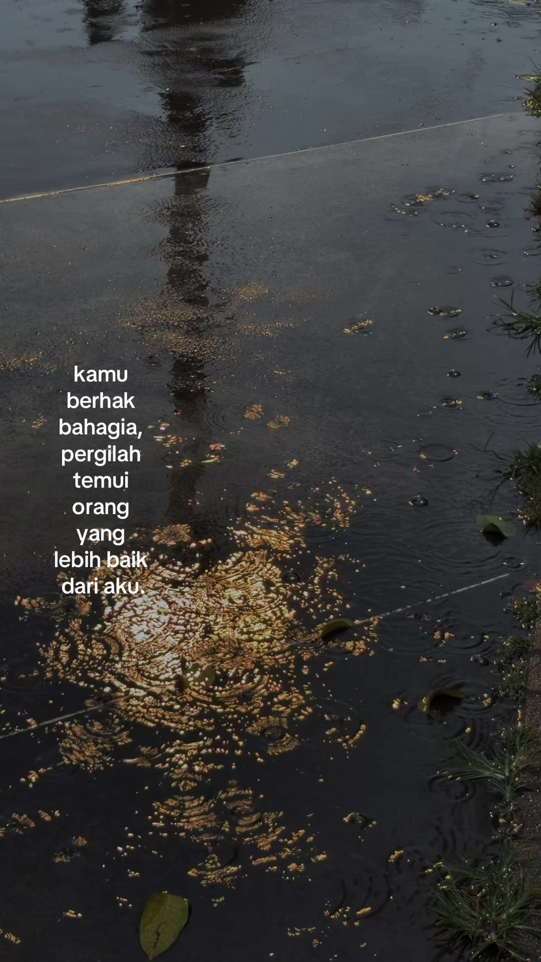@𝗗𝗶𝗮𝗻𝘆