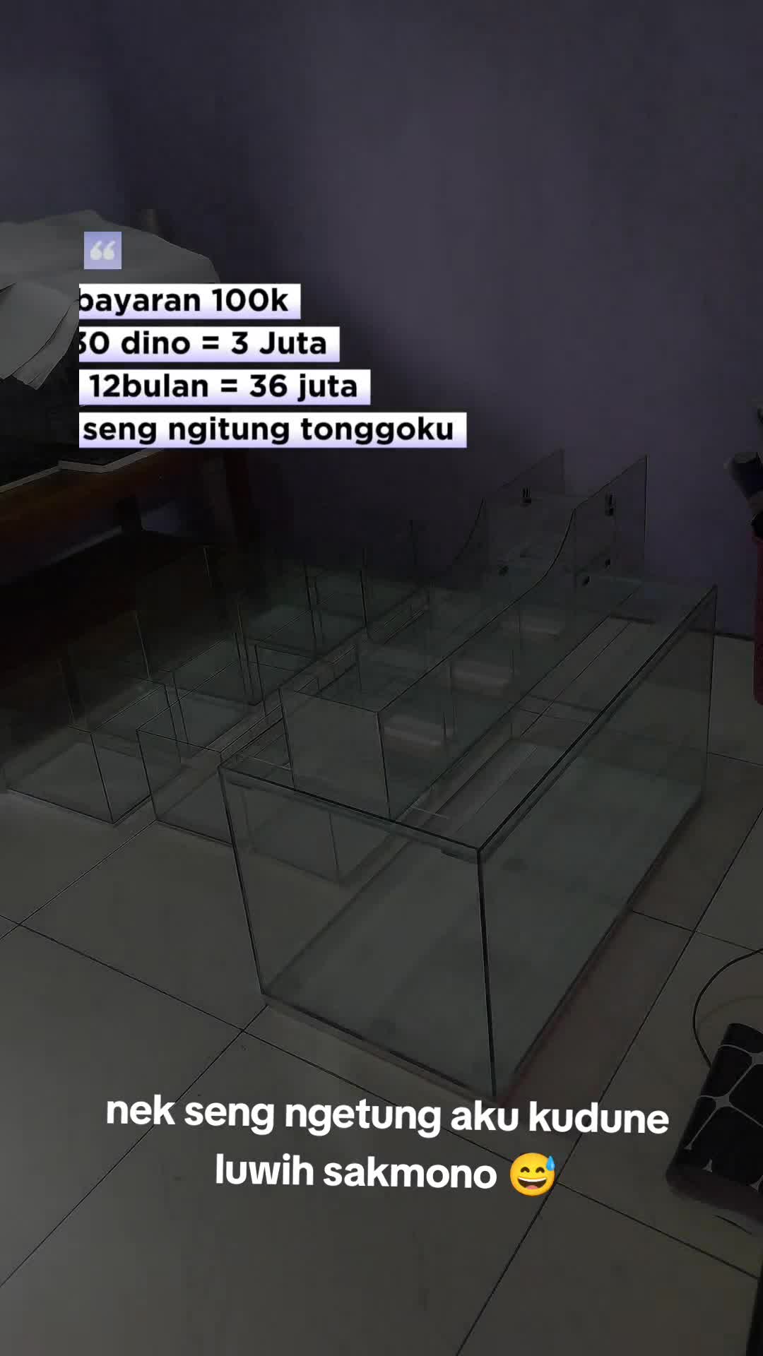 @Blessing_fish