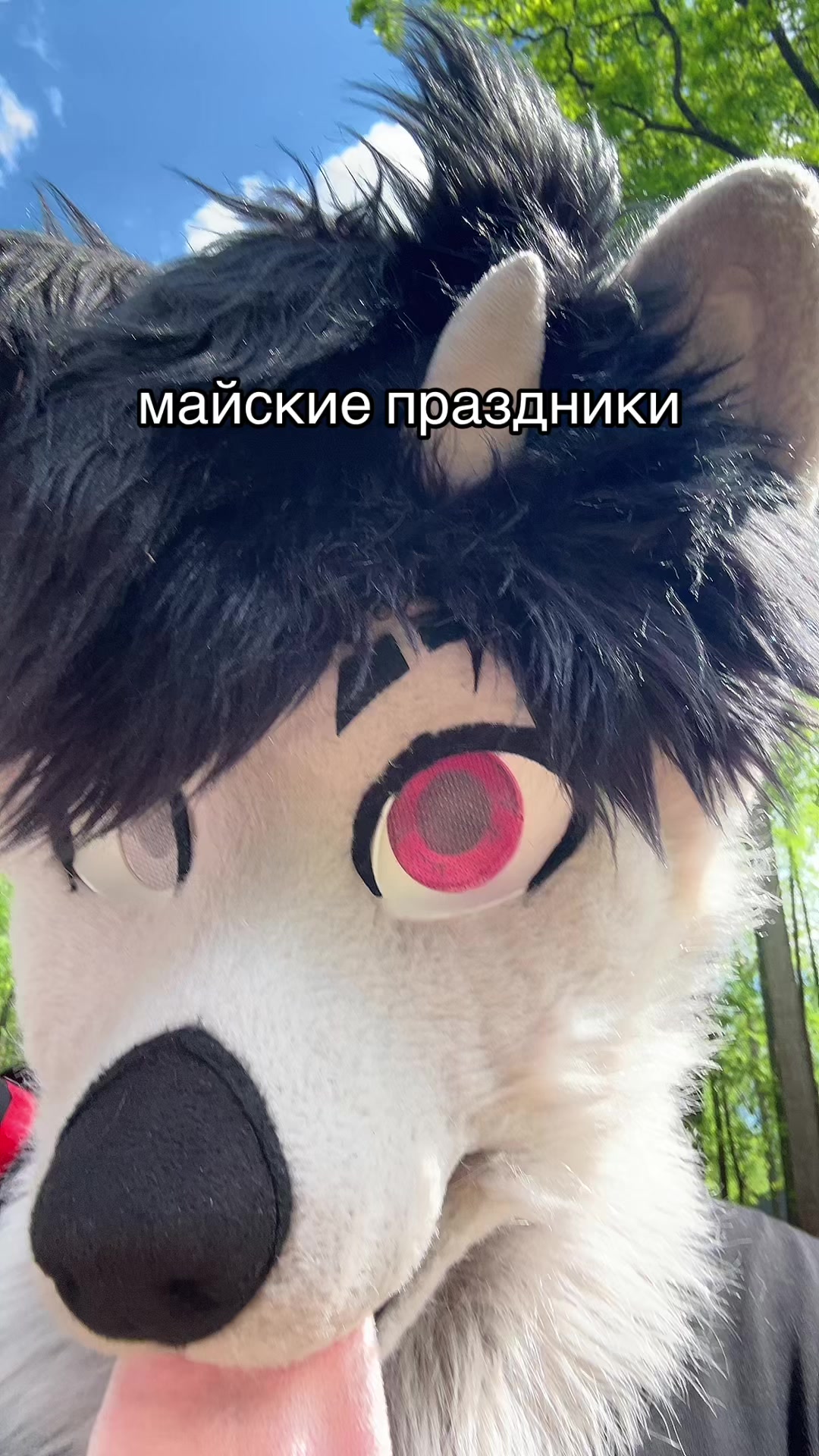 @фыркалко 🐾