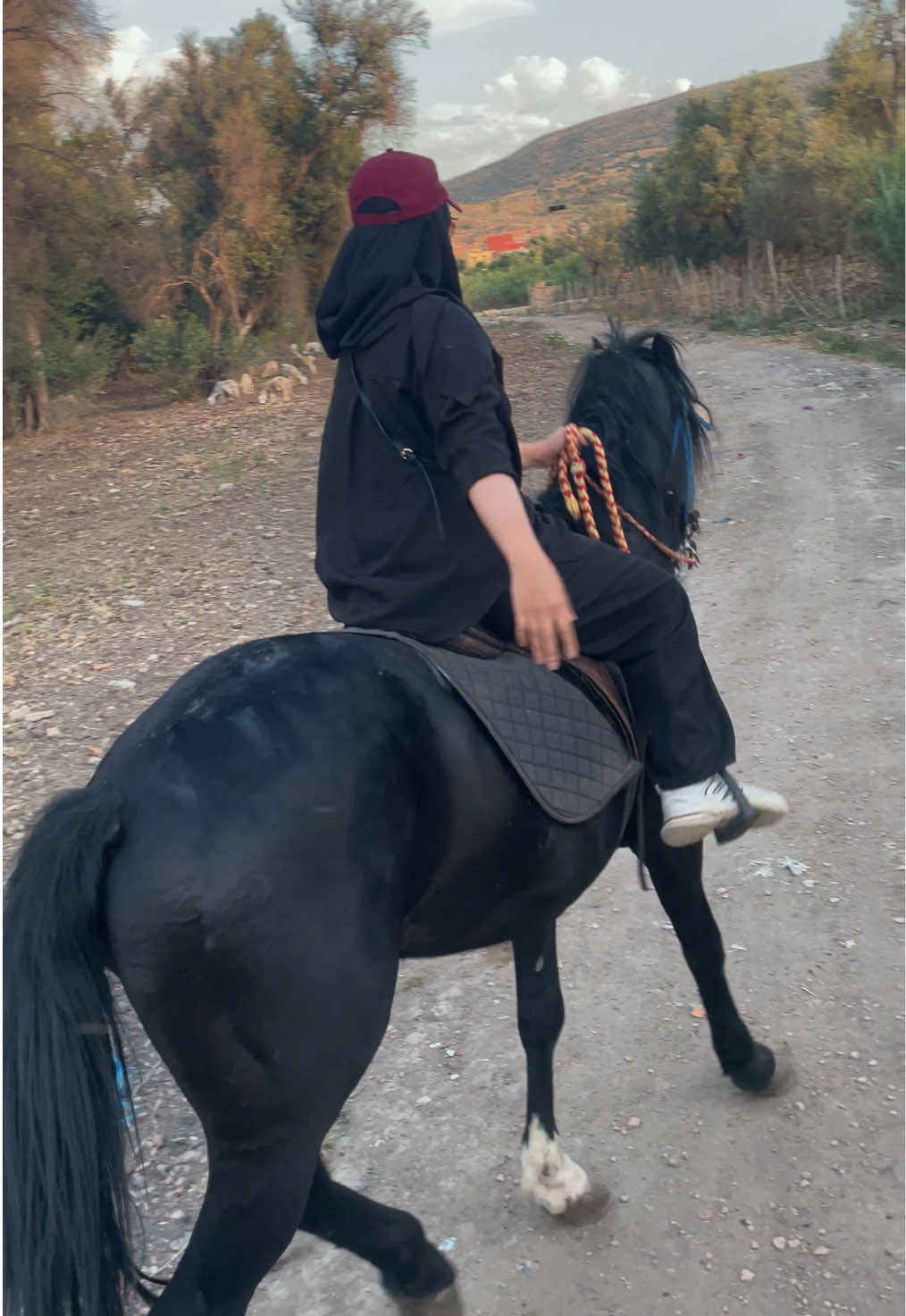 @cavaliere_ouidad