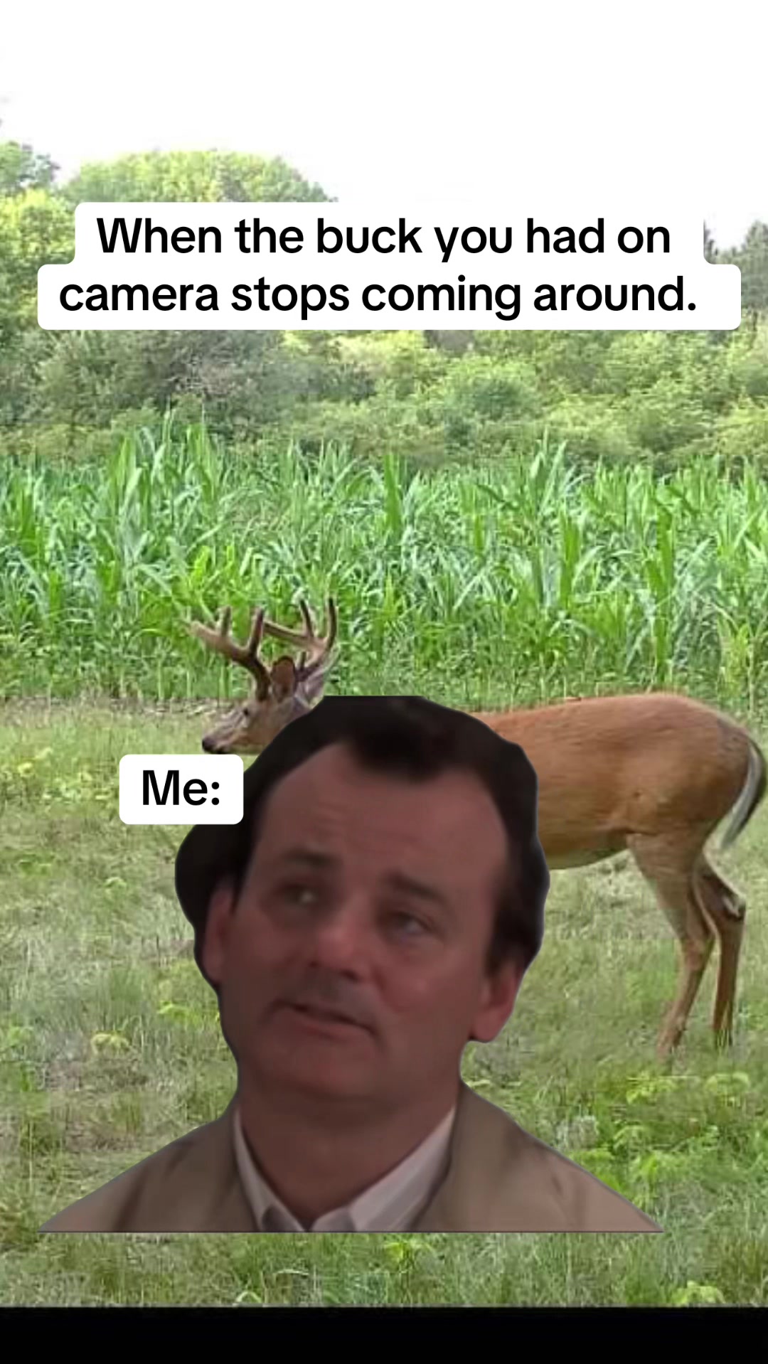 @𝓑𝓖𝓦𝓘𝓞𝓤𝓣𝓓𝓞𝓞𝓡𝓢
