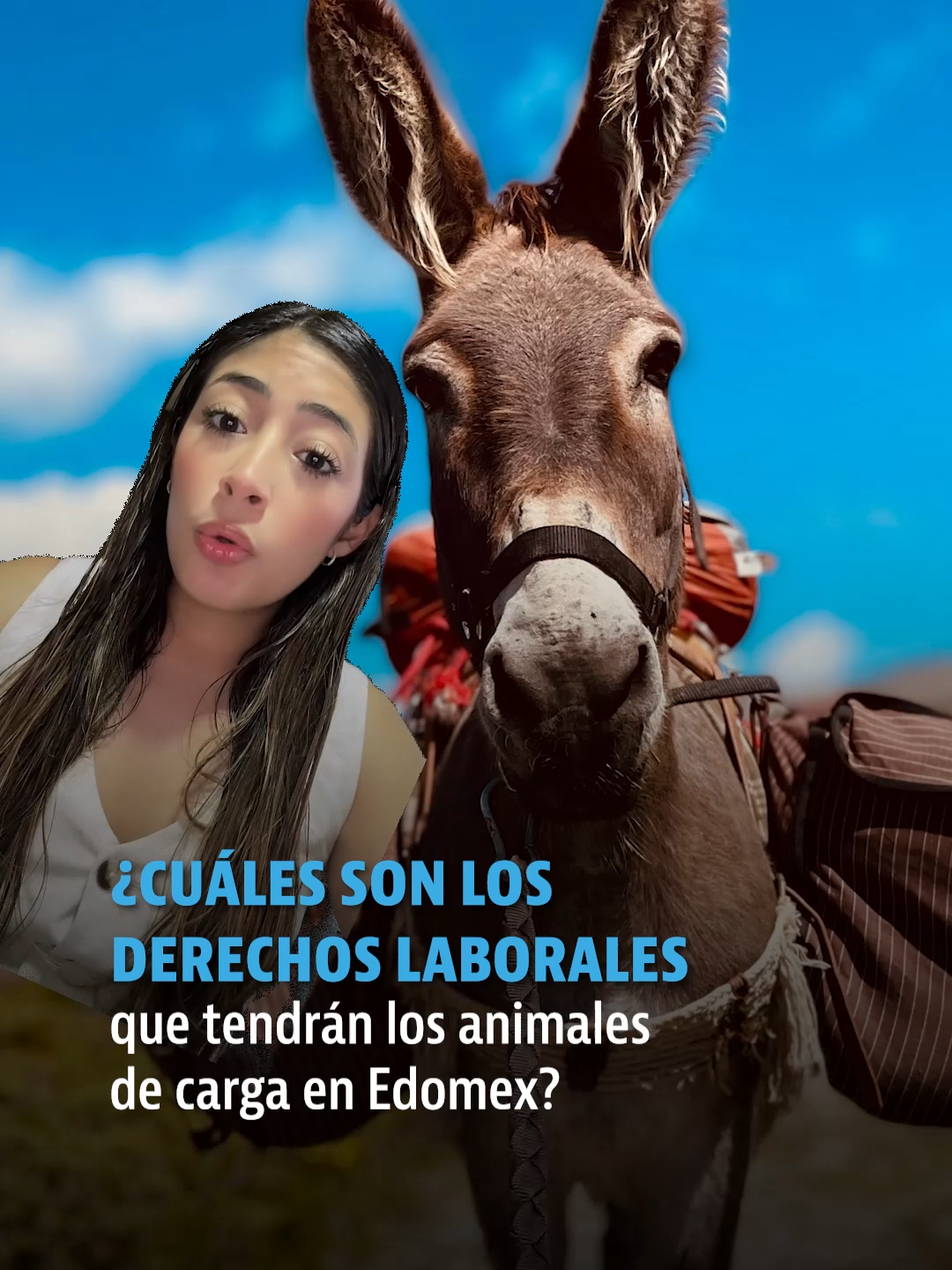 @elheraldodemexico