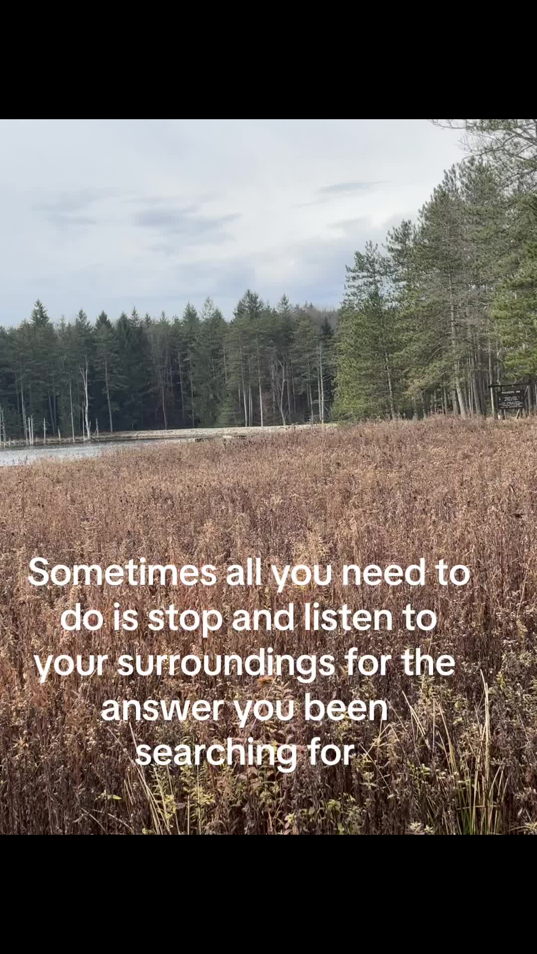 @DrWolfe