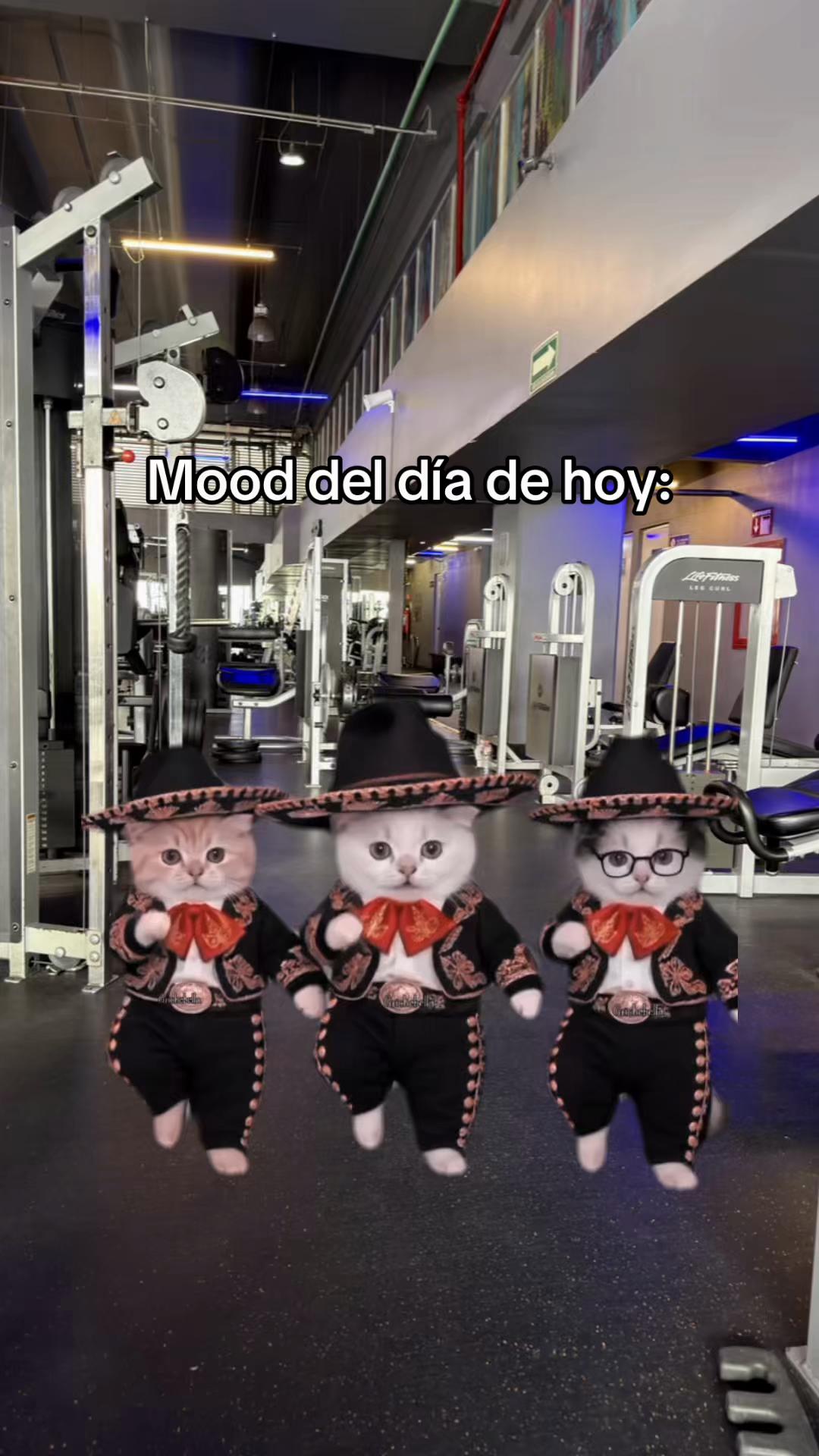 @Go! Fitness