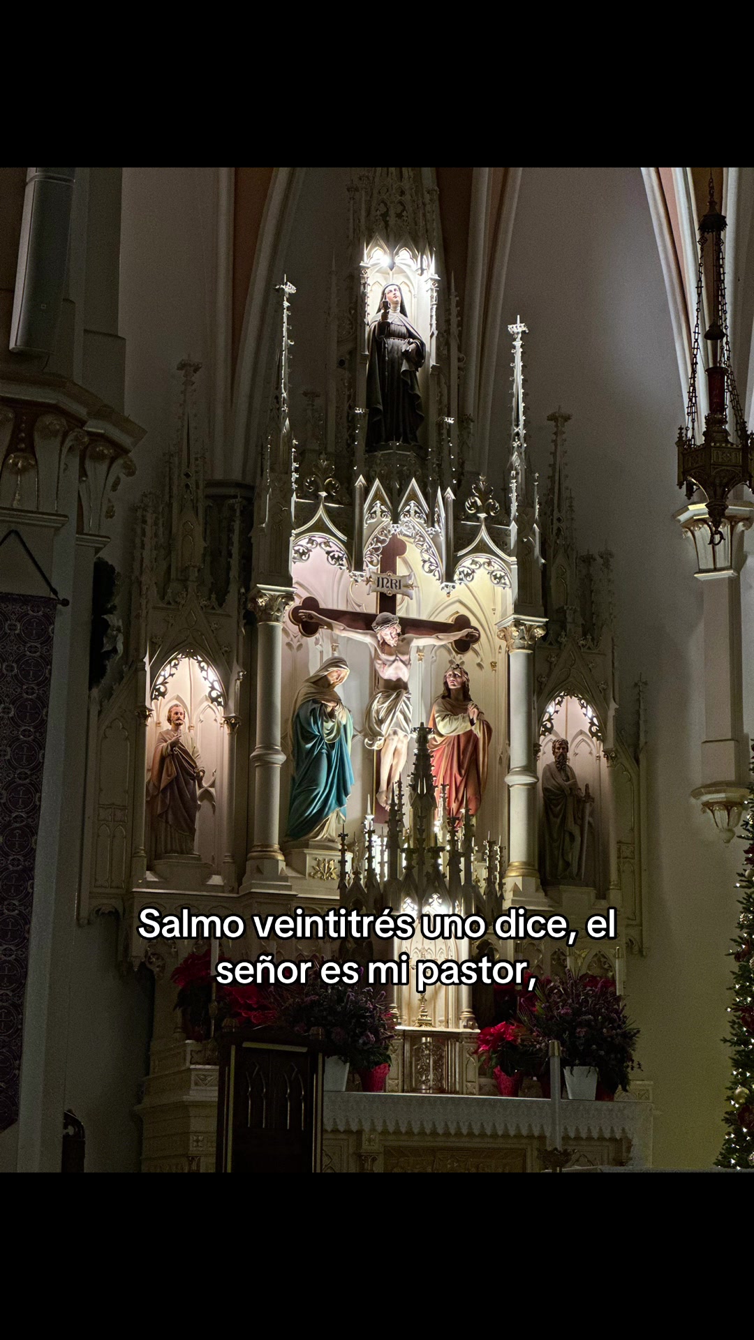 @are_Amaro17